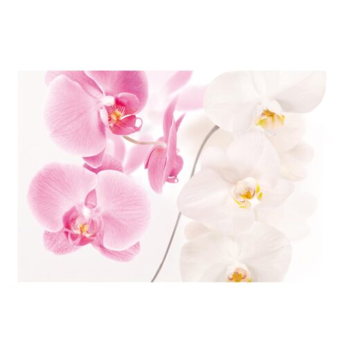 Delicate Orchids 3.2m x 4.8m Textured Matte Peel & Stick Wall Mural