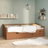 Dona Solid Wood Daybed with Trundle