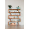 Eads Bookcase