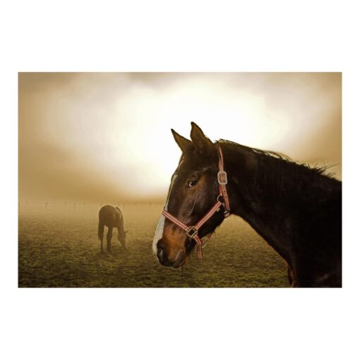 Early Horse 3.2m x 4.8m Textured Matte Peel & Stick Wall Mural