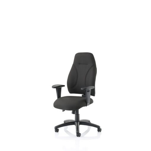 Esme Posture Desk Chair