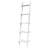 Finny Ladder Bookcase