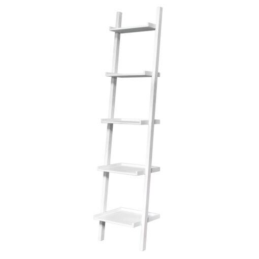 Finny Ladder Bookcase