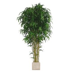 Floor Bamboo Tree in Planter