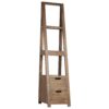 Furlow Ladder Bookcase