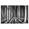 Ghost Forest 3.2m x 4.8m Textured Matt Peel & Stick Wall Mural