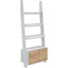 Greenland Ladder Bookcase