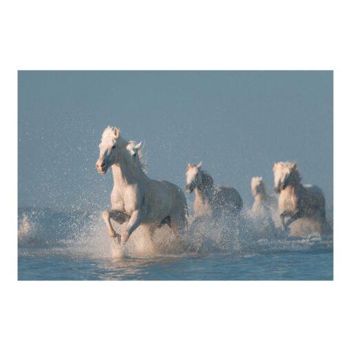 Herd of White Horses 3.2m x 4.8m Textured Matte Peel & Stick Wall Mural