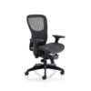 Higgins High-Back Mesh Desk Chair