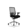 Melicia Ergonomic Polyester/Polyester Blend Desk Chair