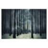 Mystical Wintery Forest 3.2m x 4.8m Textured Matt Peel & Stick Wall Mural