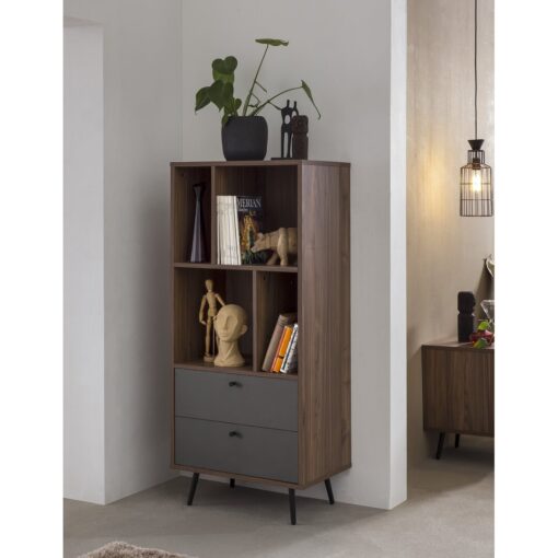 Oneal Bookcase