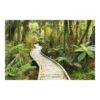 Path Through the Jungle 3.2m x 4.8m Textured Matt Peel & Stick Wall Mural