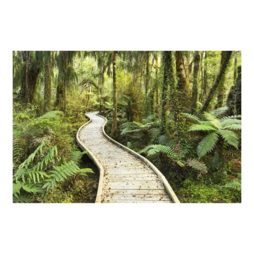 Path Through the Jungle 3.2m x 4.8m Textured Matt Peel & Stick Wall Mural