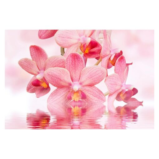 Pink Orchids on the Water 3.2m x 4.8m Textured Matt Peel & Stick Wall Mural