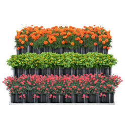 Renswoude 118 x 118 x 60cm 3-tiered Avnee planting bed