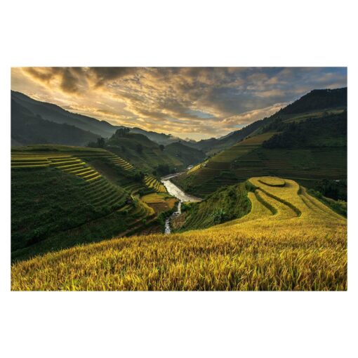 Rice Plantations in Vietnam 3.2m x 4.8m Textured Matt Peel & Stick Wall Mural