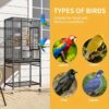 Terraloom 53 Inches Bird Cage Seed Catcher & Birdcage Cover, Bird Cages For Parakeets, Parrot, Cockatiel, , Finch Cage For Birds