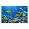 Underwater Lights 3.2m x480cm Textured Matt Peel & Stick Wall Mural