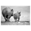 Wandering Rhinos II 3.2m x 4.8m Textured Matte Peel & Stick Wall Mural