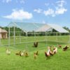 Yodolla Run, Effectively Prevents , 200 Metal , Suitable For 10 Chickens And Poultry Ducks, ,