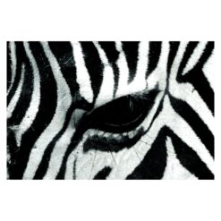 Zebra Crossing No.4 3.2m x 4.8m Textured Matte Peel & Stick Wall Mural