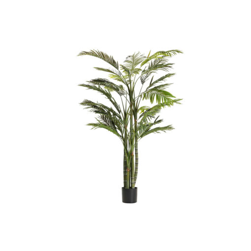 ARECA PALM PLANT 110X110x190 CM