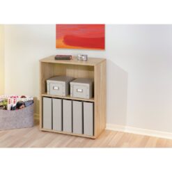 Levy Bookcase