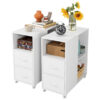 Lorrieann 2 Drawer Filing Cabinet