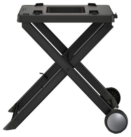 Ninja Woodfire Electric BBQ Stand