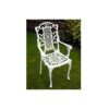 Victorian Carver Chair - Aluminium - L44 x W55 x H101.5 cm