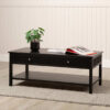 Wallsburg Wooden Coffee Table for Living Room with 2 Drawers & Shelf Storage