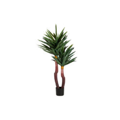 YUCCA GLORIOSA PLANT WITH POT 55X55x145 CM